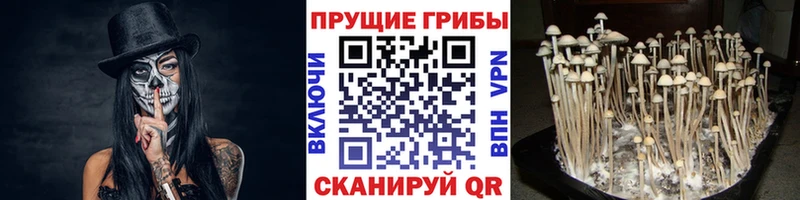 Галлюциногенные грибы ЛСД  Купить где  Гулькевичи 